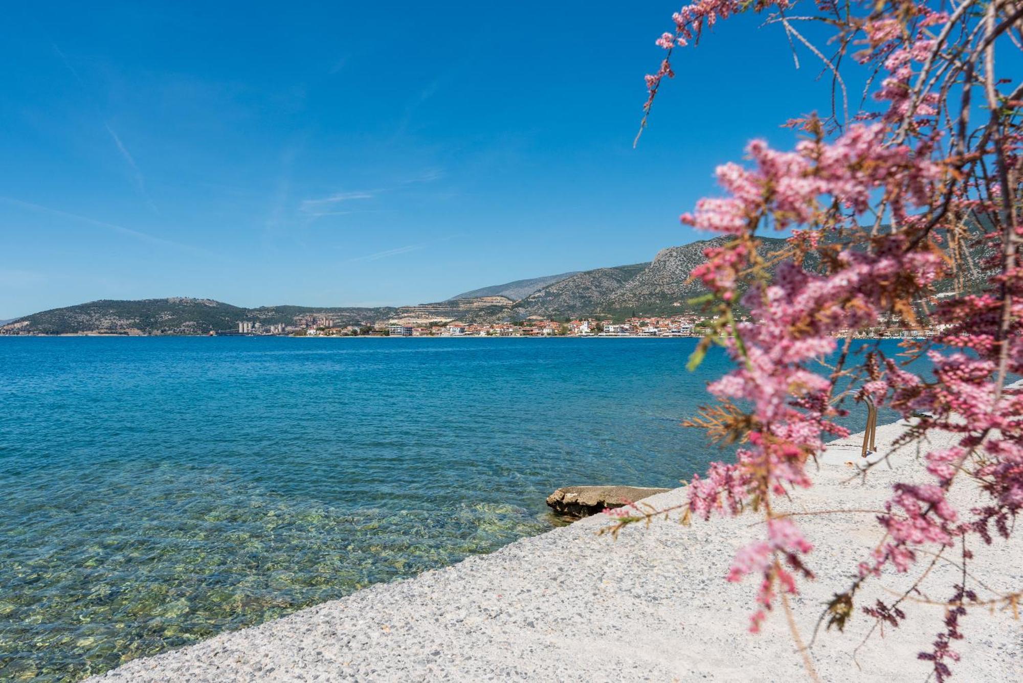 Παραθαλάσσιο Σπίτι στις Παρυφές του Πηλίου Διαμέρισμα Αγριά Εξωτερικό φωτογραφία